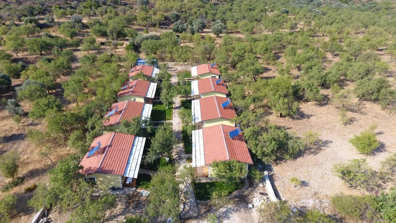 Selerdoğa Evlerı Otel Palamutbükü