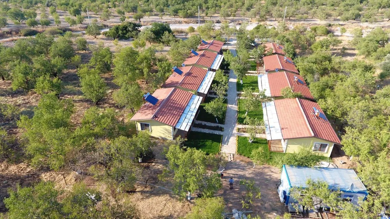 Selerdoga Evleri Hotel Palamutbuku